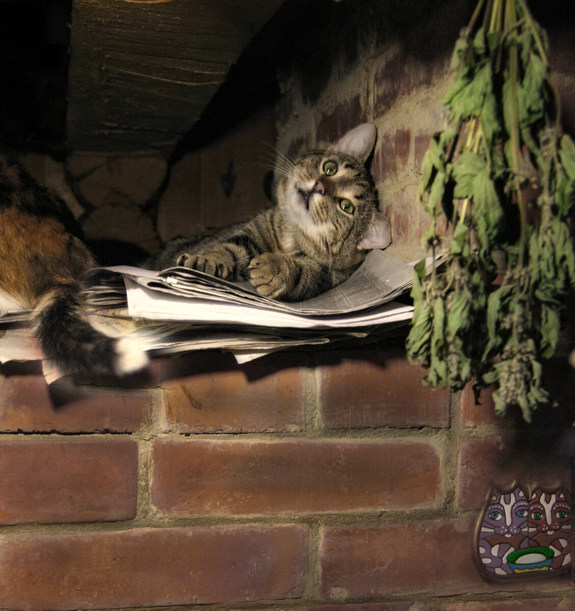 фото из интернета