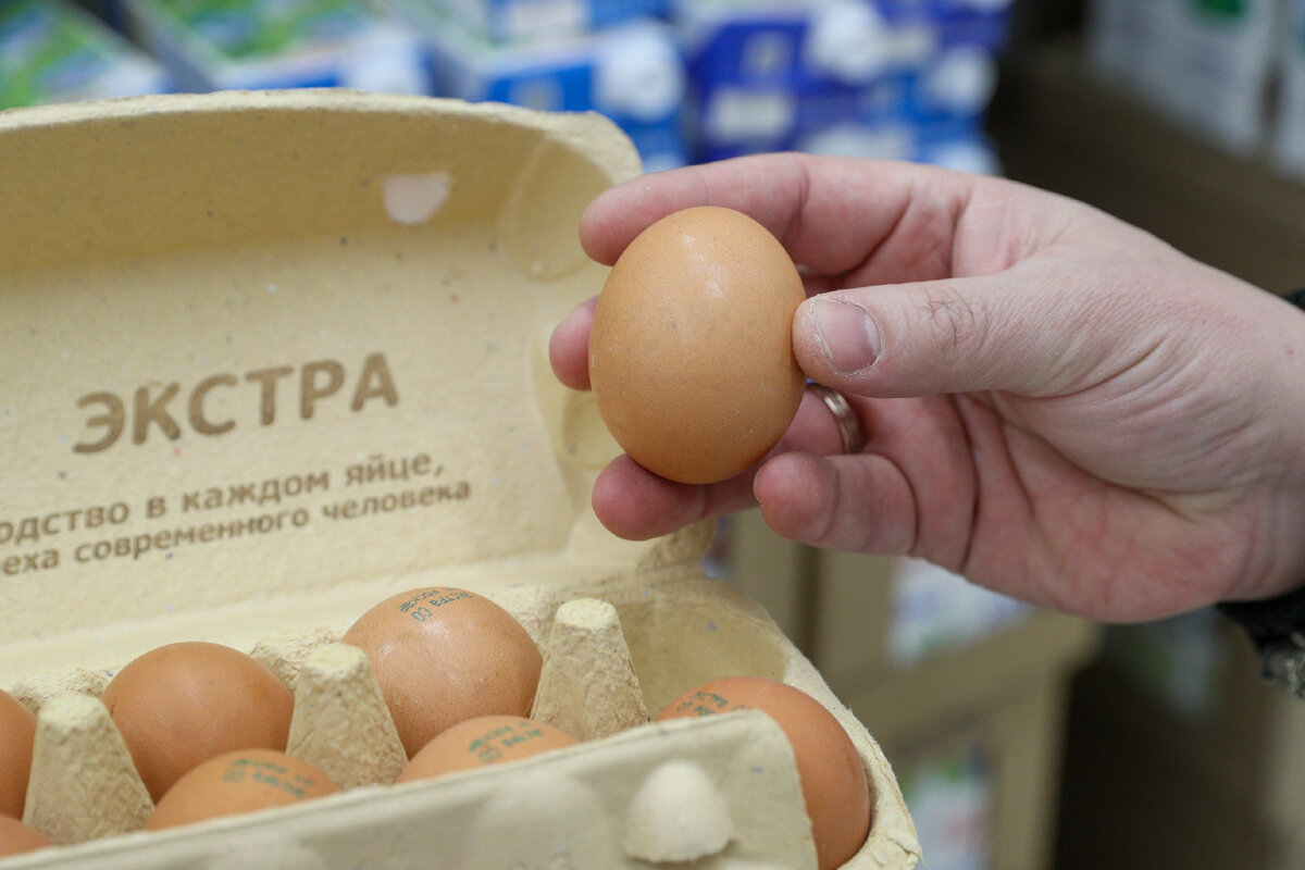 Фото: Bulkin Sergey/news.ru/Globallookpress 