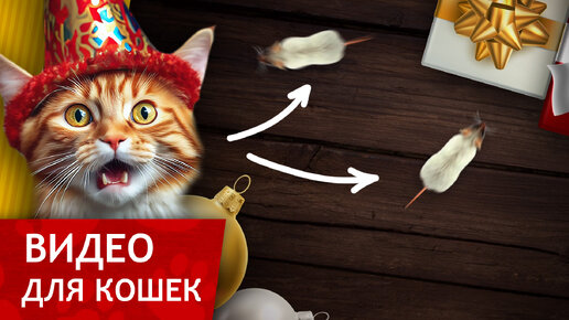 Видео для кошек - Белые Крыски (Новогодний Выпуск для вашего котика!!!)