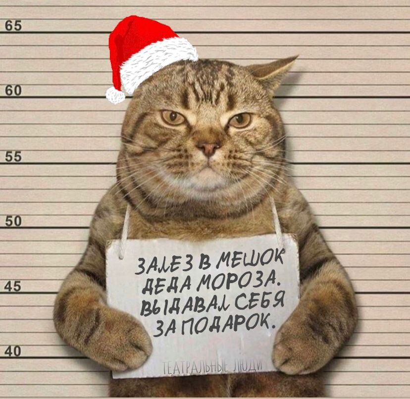 Все фото в открытом доступе