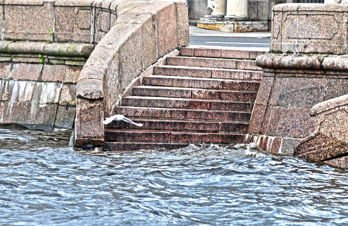 Фото Павла Чайкина