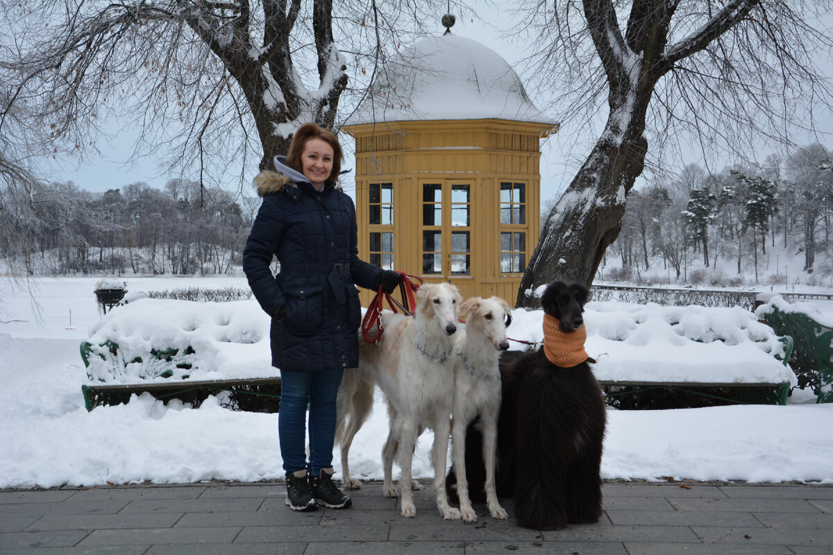 Вид на Хага парк