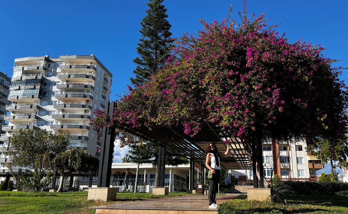 Та самая нержавейка на лоджиях дома слева. Если увеличите фото, увидите, что её не пожалели