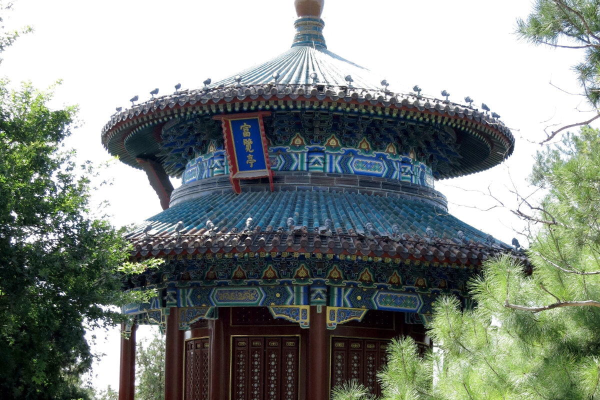 источник rovdyrdreams.com