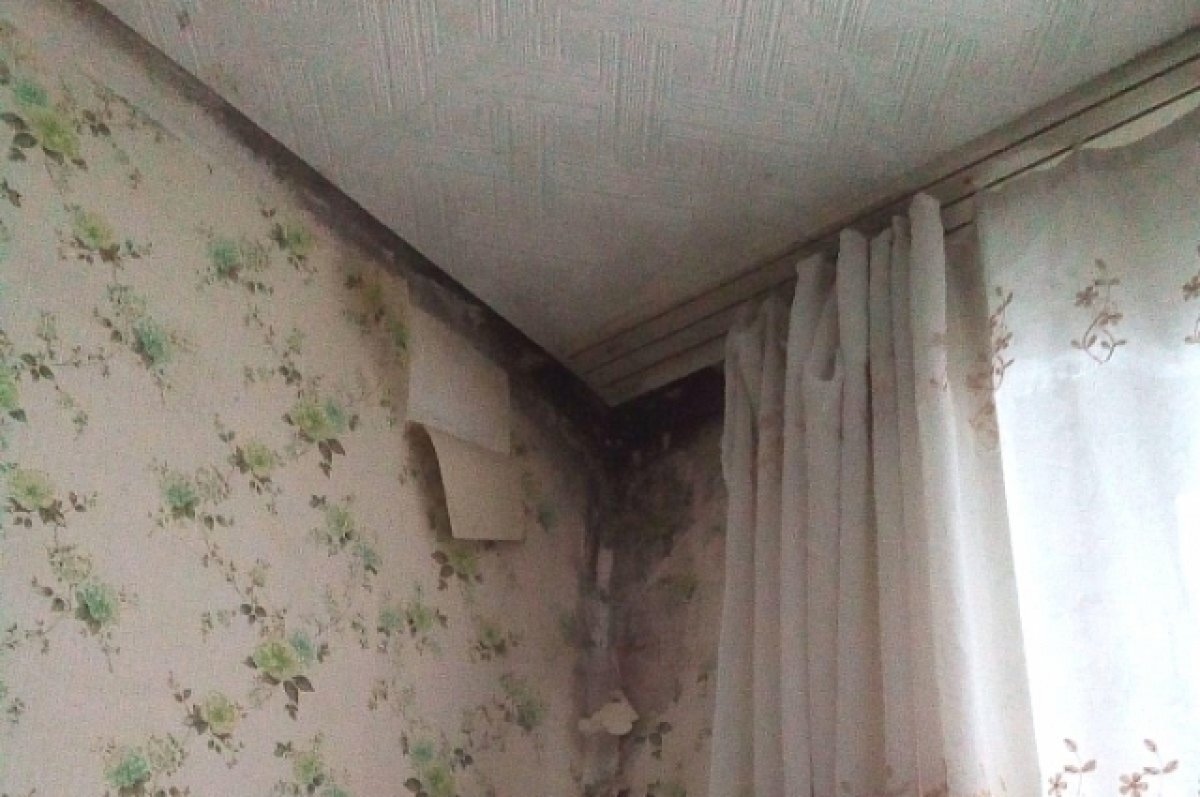    Глава СКР займется проблемой севастопольского ветерана ВОВ