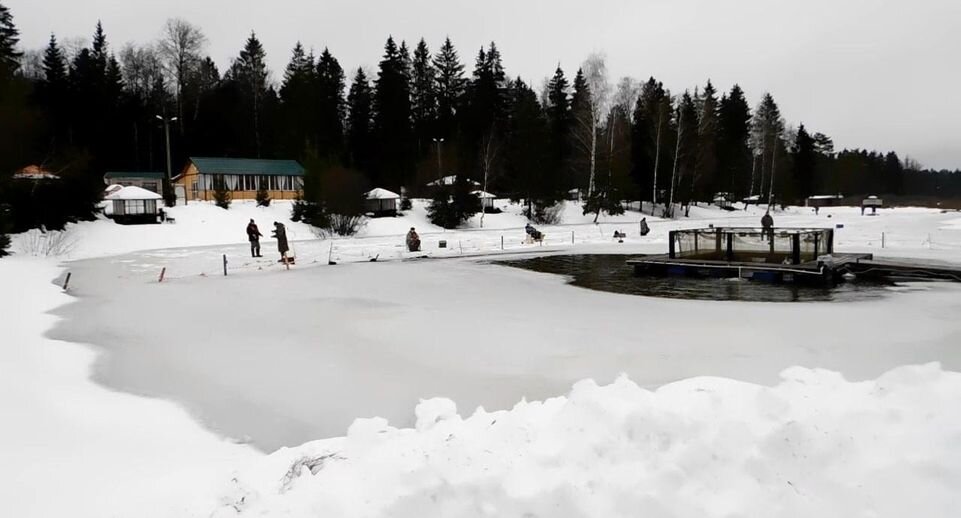 Пруд в наро фоминске. Краснопресненский пруд Наро Фоминск. Пруд Краснопресненский на карте Наро Фоминска. Краснопресненские пруды фото.