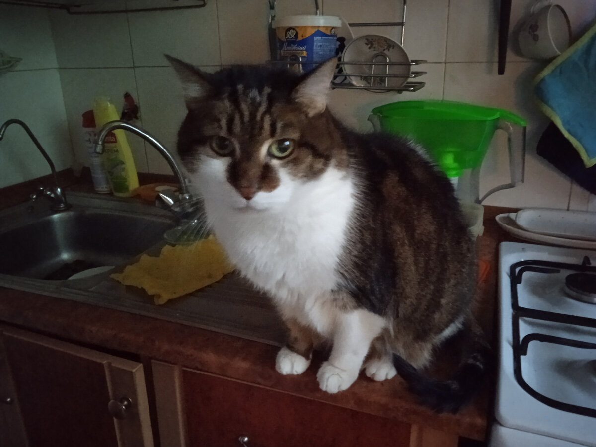 Фото автора