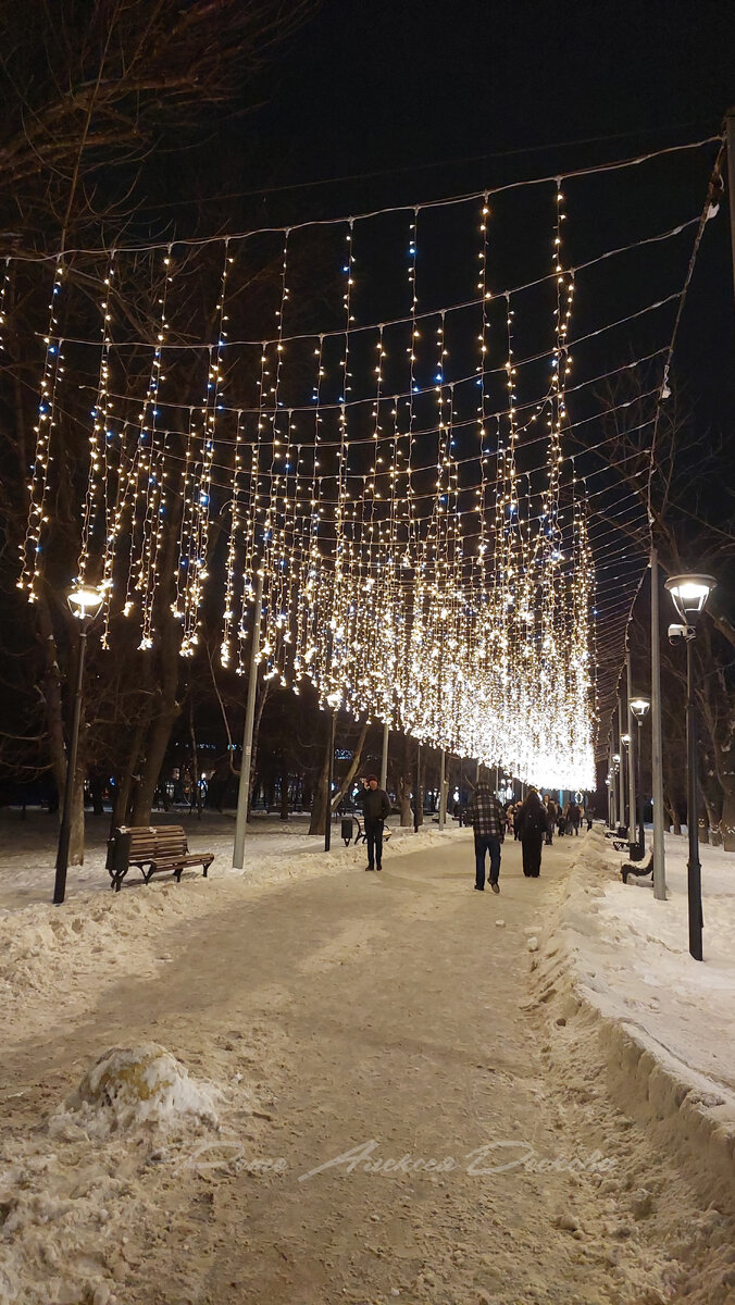 Прогулка по вечернему предновогоднему Саратову | Моя Саратовская жизнь ...