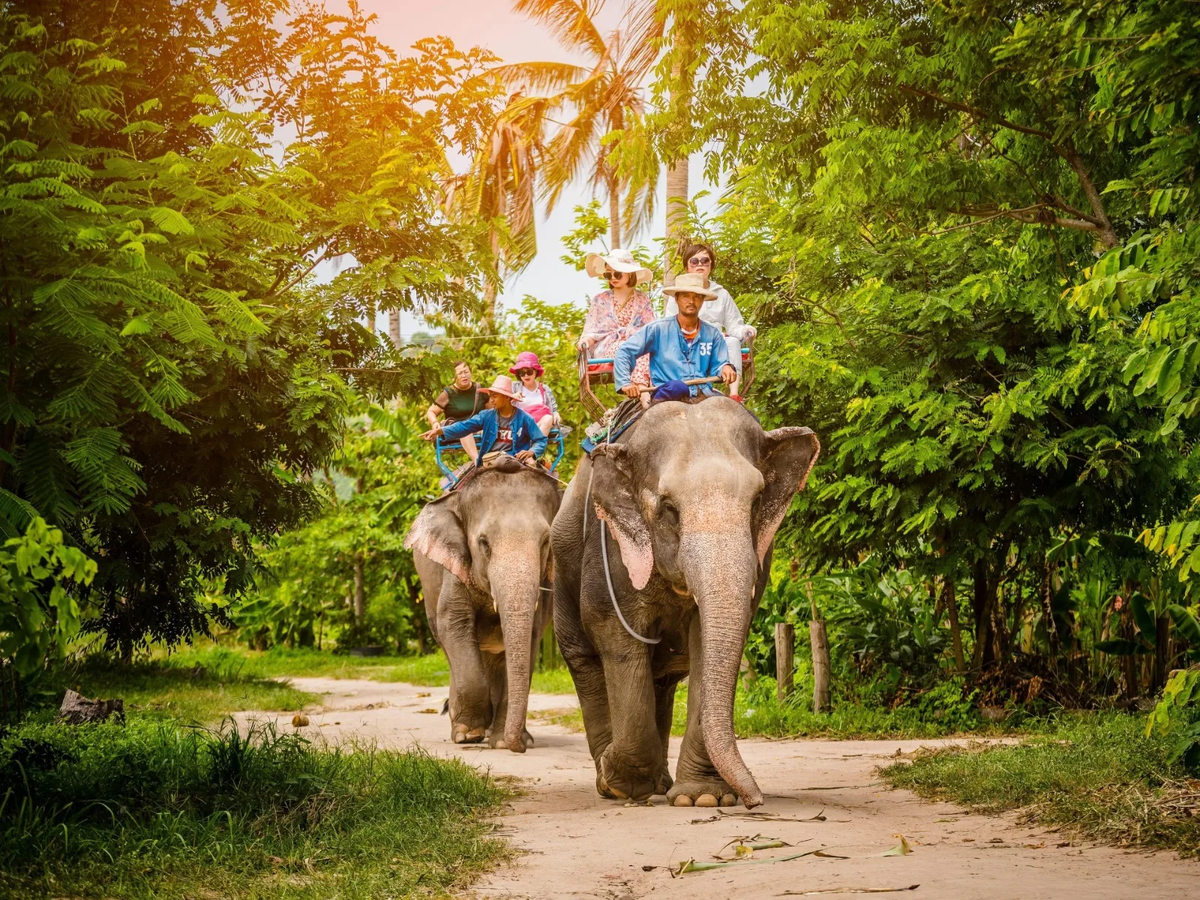 Деревня слонов в паттайе chon buri фото 7 вещей, которые вы должны увидеть в Таиланде TRAVEL NOW - Путешествуй прямо сей