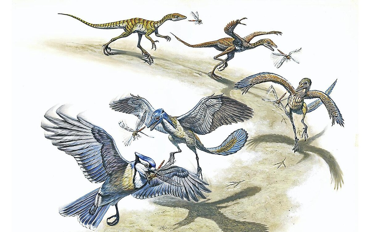 Протоавис и Археоптерикс. Археоптерикс Эволюция птиц. Археоптерикс динозавр. Древние птицы Археоптерикс.