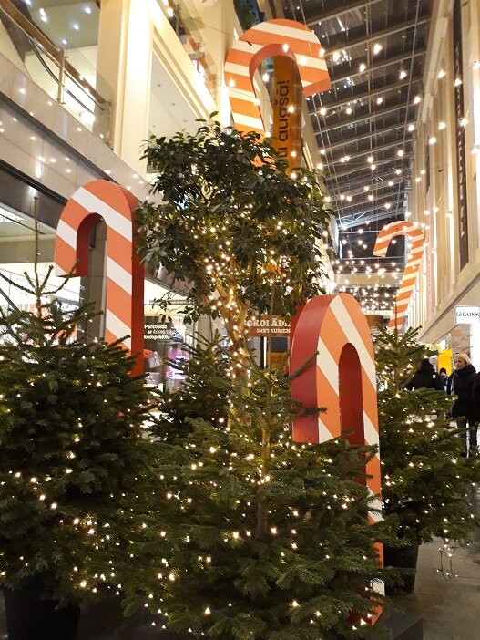 Рига, 10 декабря 2023