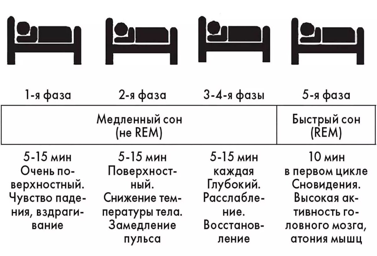 Новое исследование выявило опасность резкого пробуждения по будильнику |  НОВЫЕ ИЗВЕСТИЯ | Дзен