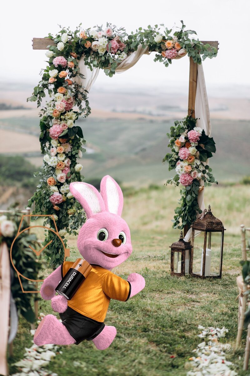 Розовая заряженная зайка бежит к алтарю