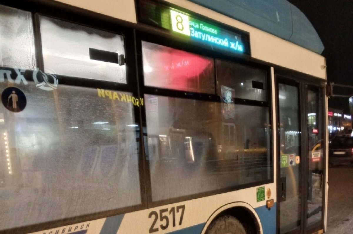    В Новосибирск к Новому году доставят новые троллейбусы