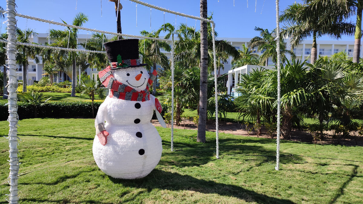 Рождественские мотивы (листайте фото)