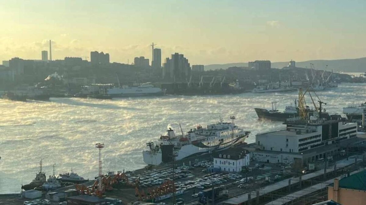 Море «закипело» у Владивостока: почему вода парит? — видео | Восток-Медиа |  Дзен