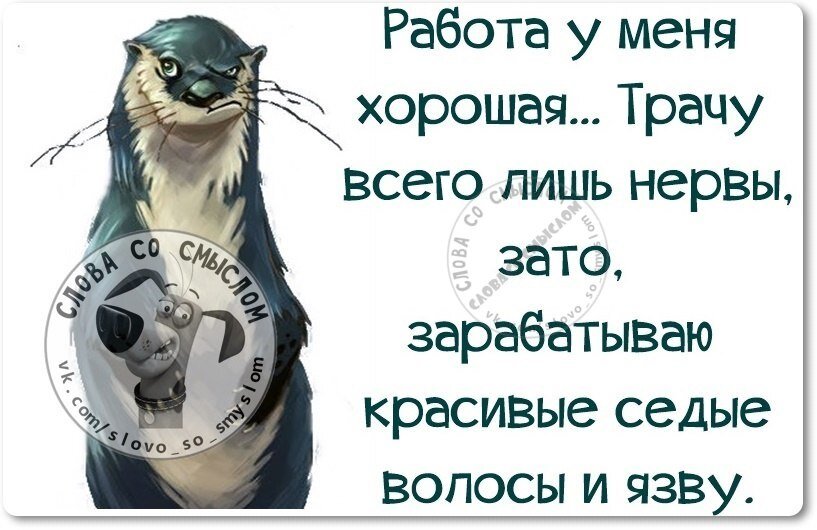 Не надо портить нервы. Афоризмы про нервную систему. Прикольные высказывания про нервы. Высказывания про нервную систему. Смешные фразы про нервы.