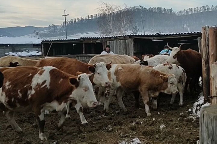 Фото со страницы Юрия Курлаева в соцсети 