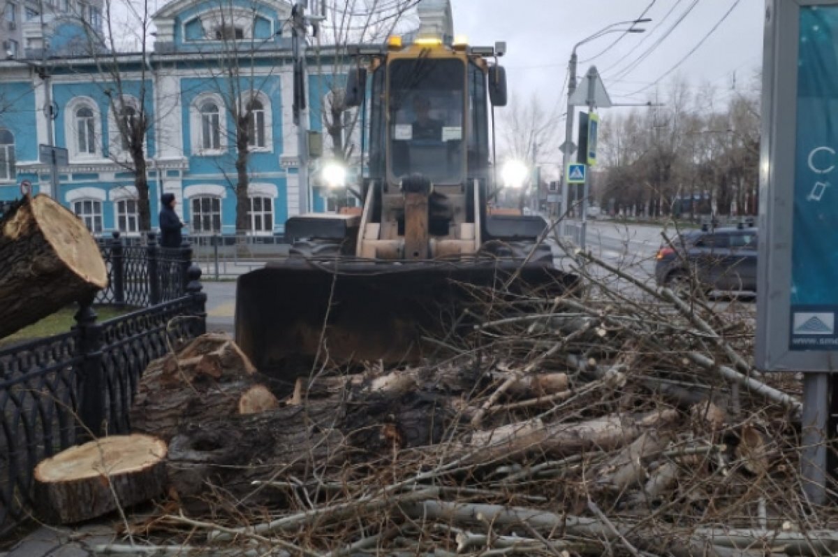    В Барнауле до сих пор устраняют последствия урагана