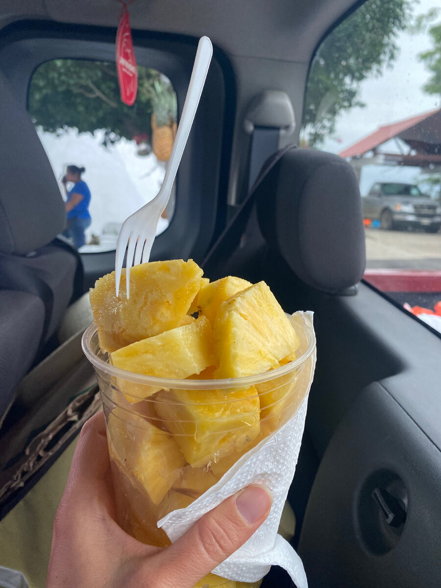 Мало того, что автостоп помогает экономить деньги на общ.транспорт, так еще и частенько в Мексике водитель тебя чем-нибудь угощает по дороге