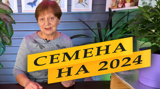 Семена на 2024. НАЧАЛО.