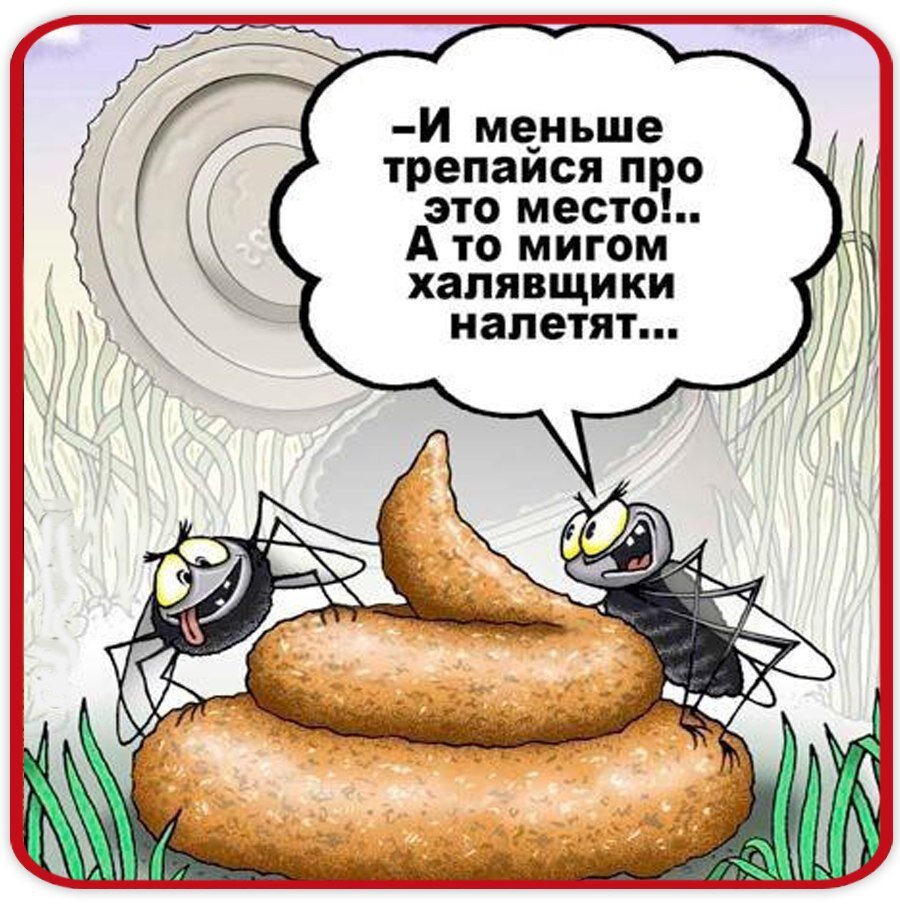 Анекдот муравей. Я темы про говно попугай. Золоторев профессия про говно. Книга про говно и чеснок