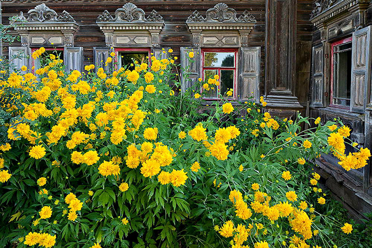 бронзовое кольцо илюшино счастье глава 72. бронзовое кольцо илюшино счастье глава 72. бронзовое кольцо. кольцо из бронзы. бронзовое кольцо илюшино счастье глава 72.