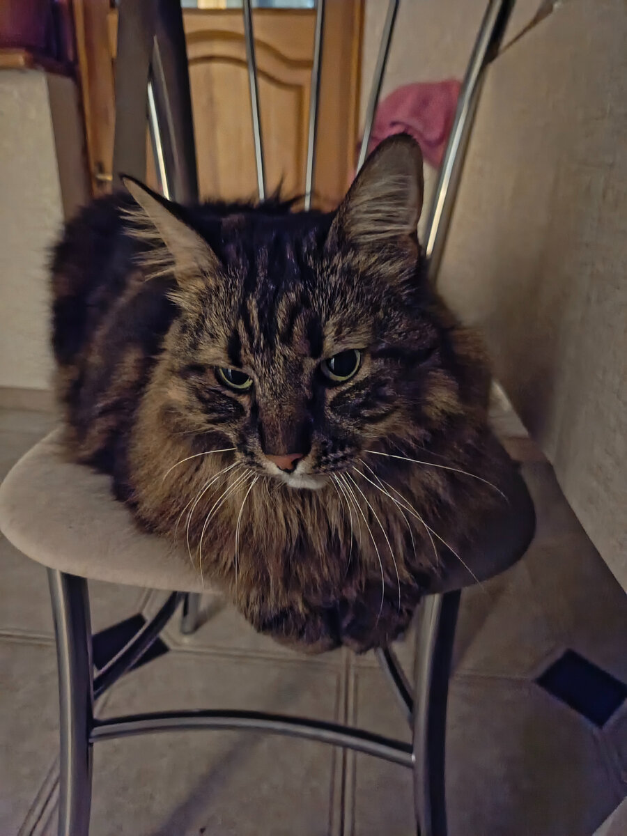 Расстроен с утра пораньше