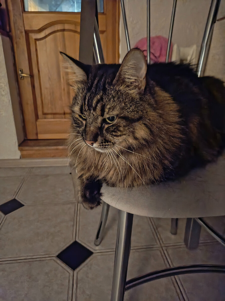 Это я, пока меня еще не покормили