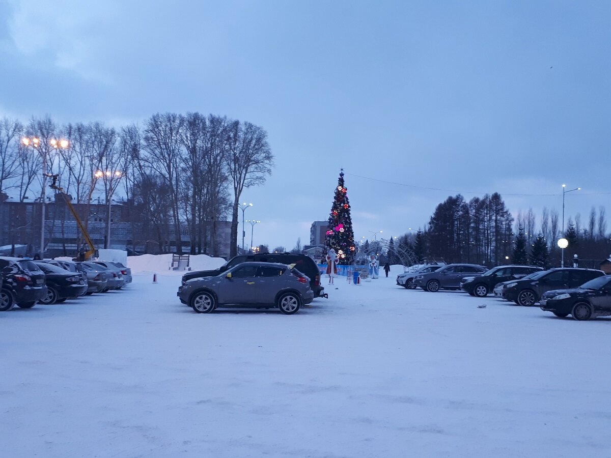 Новые Дед Мороз и Снегурочка зовут жителей Бердска к главной ёлке — 2024 |  Беседа Онлайн | Дзен