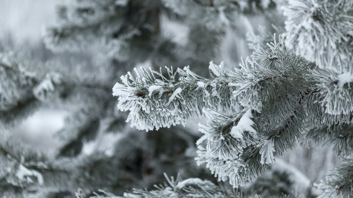 © NIKOLAY GYNGAZOV/GLOBALLOOKPRESS