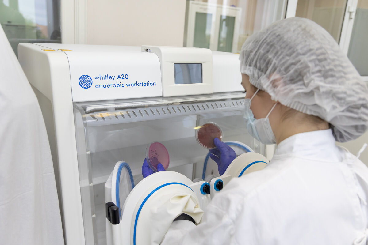 Ученые продолжат исследовать свойства пробиотических бактерий