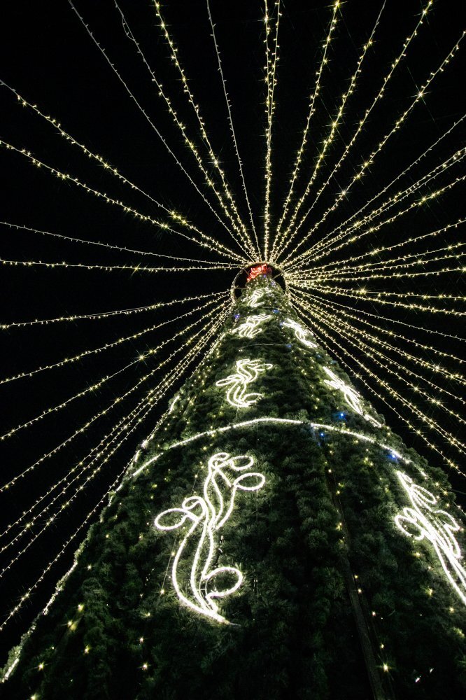    Большинство жителей Югры встретят Новый год с семьей