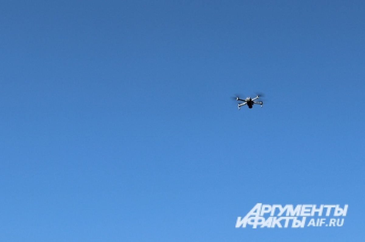    Браконьеров будут ловить с помощью квадрокоптеров в Томской области