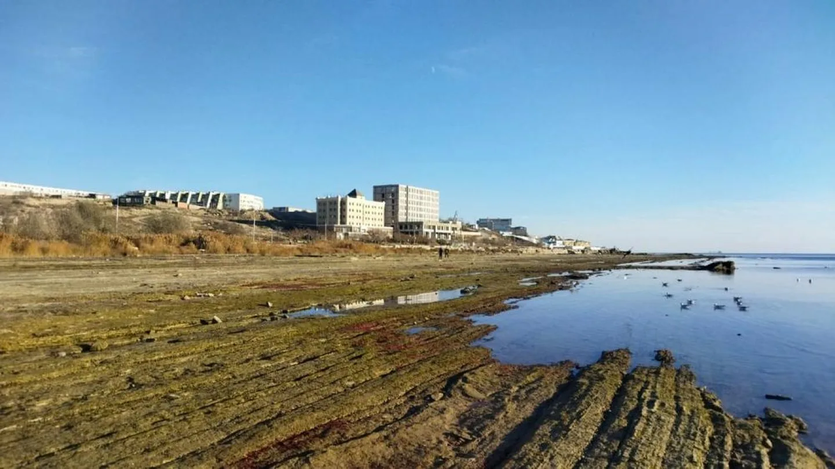 Поселок весело вознесенка уходит в море. Астрахань каспийское море лагань. Каспийское море уходит вода. Обмеление каспийского моря. Каспий море 1993.