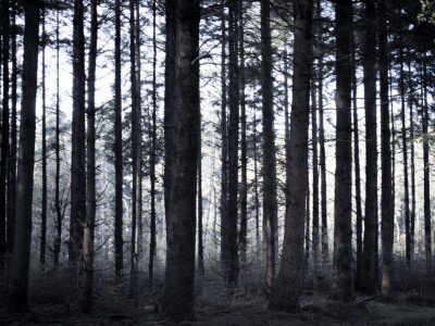 Фото из открытых источников в Интернете