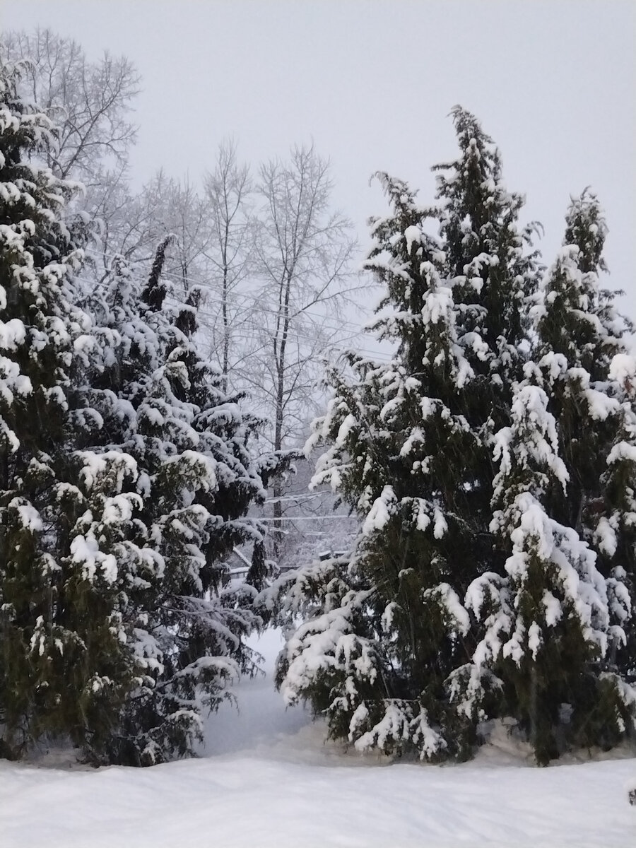 Снег кружится, летает, летает..🌨️ | Записки матушки Анны..🍁 | Дзен