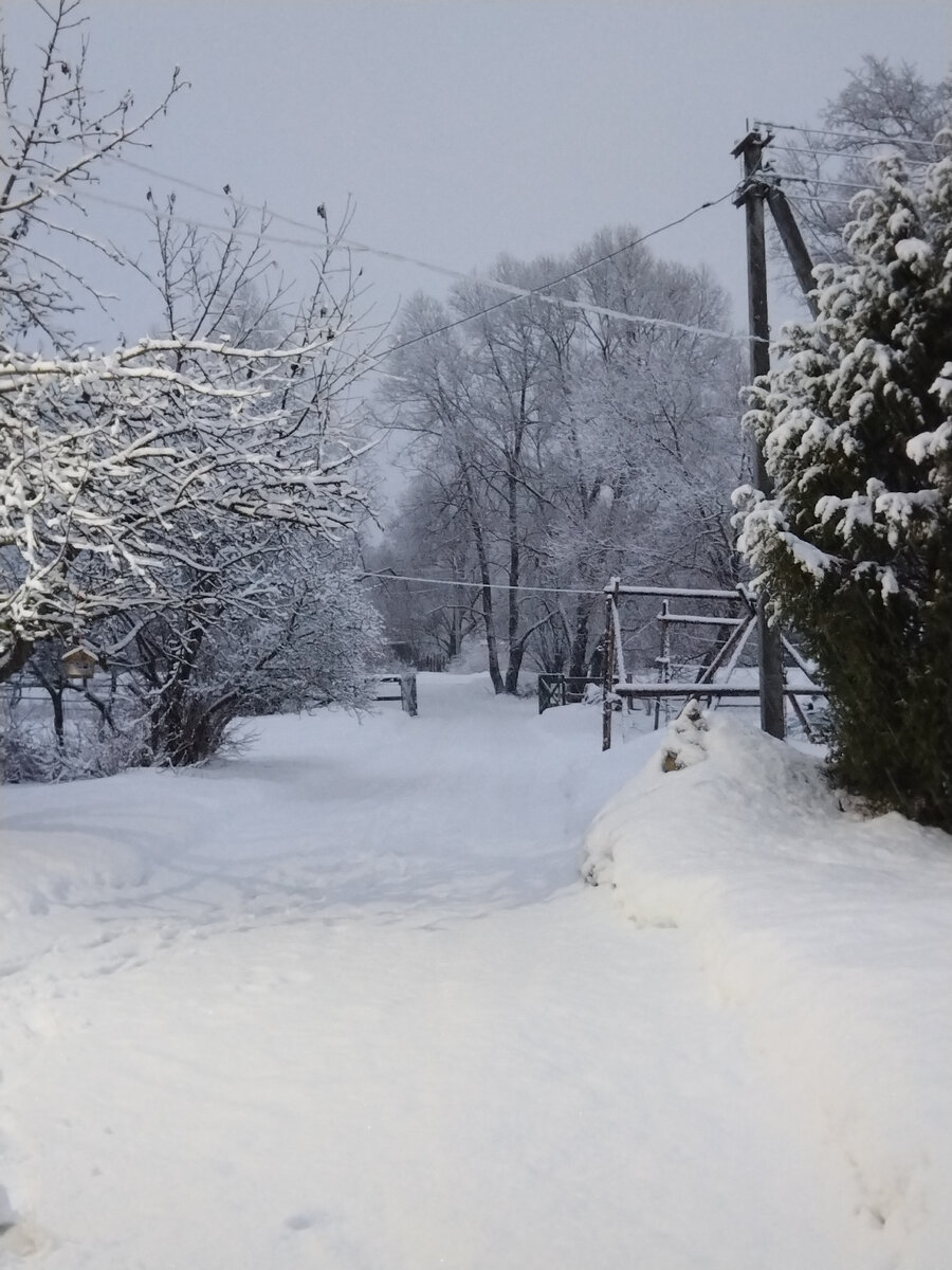 Снег кружится, летает, летает..🌨️ | Записки матушки Анны..🍁 | Дзен