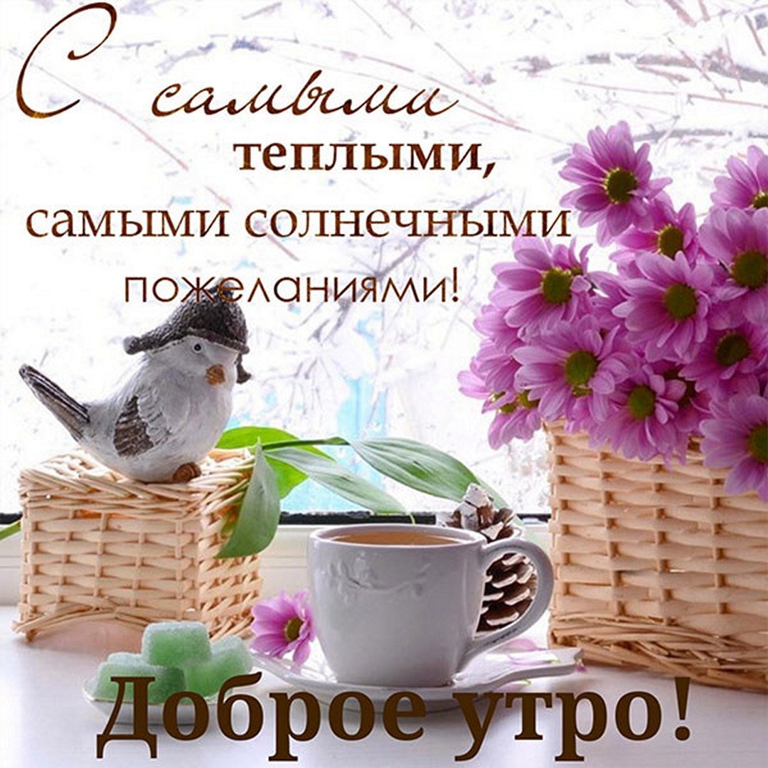 фото из интернета