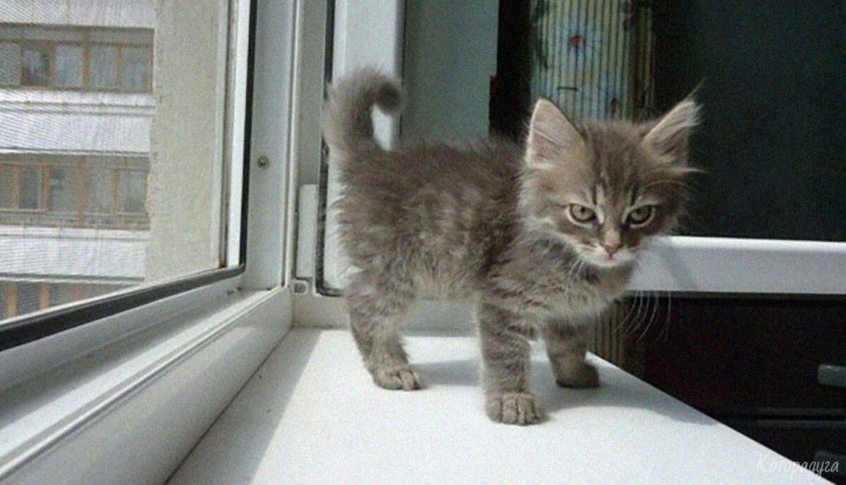 Источник: pinterest.com
