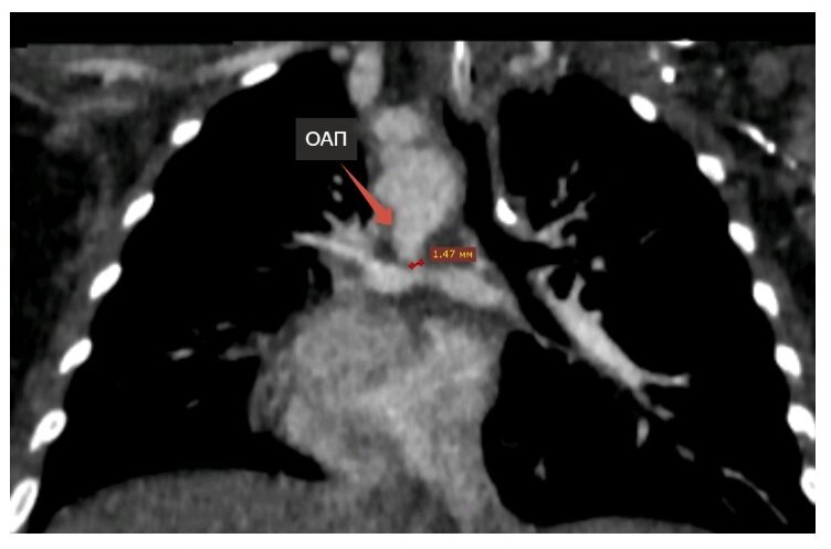 © Фото - Центр Мешалкина.📷
