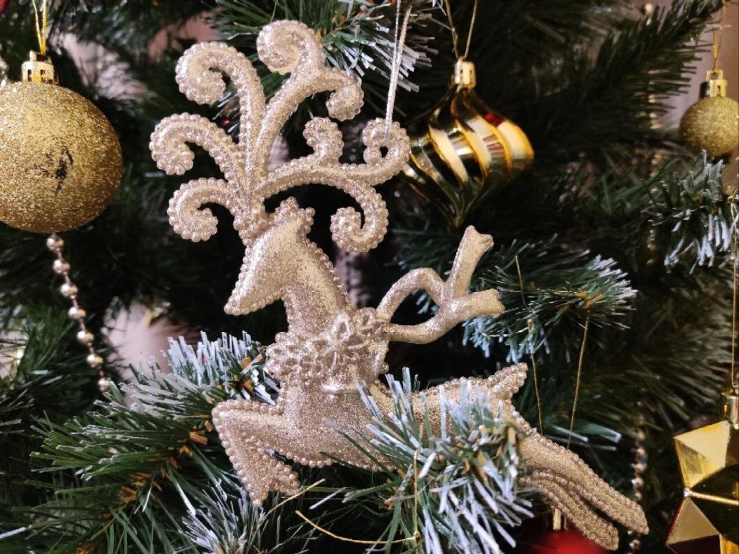 Фото: ИА "Тюменская линия"