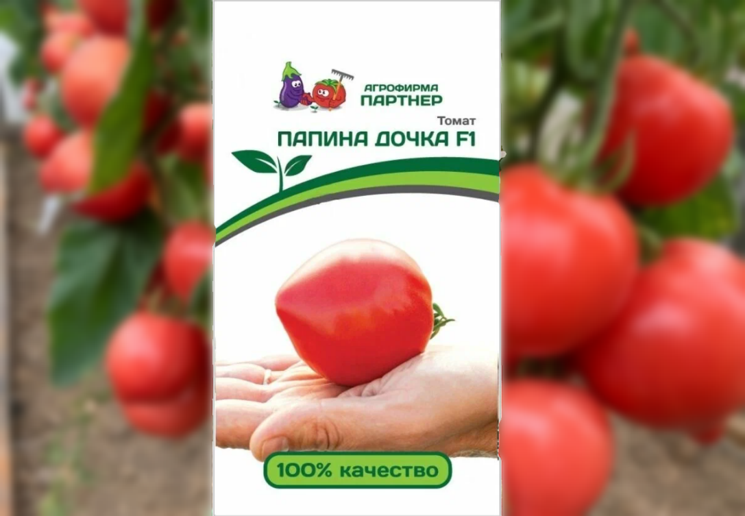 Томаты сорт папина дочка. Томаты сорт папина дочка