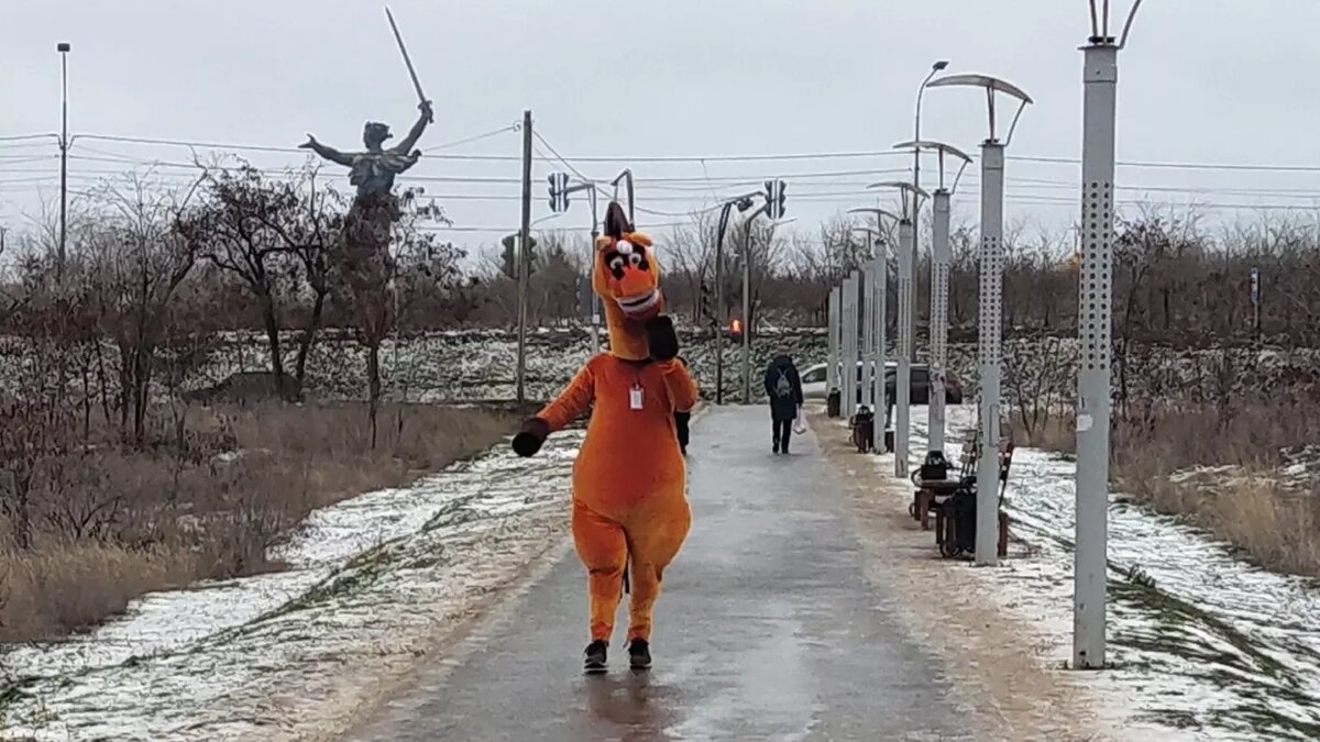     Жители Волгограда стали массово жаловаться в соцсетях на аниматоров в плюшевых костюмах лошадей и зебр, бродящих по центральным улицам города. Горожане утверждают, что они нахально пристают к прохожим ради совместного фото, за которое потом неожиданно требуют деньги.