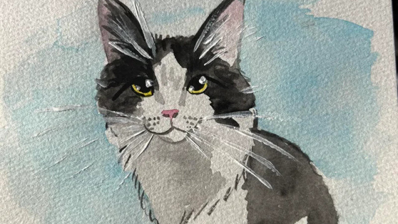     Котики и их портреты. Reddit