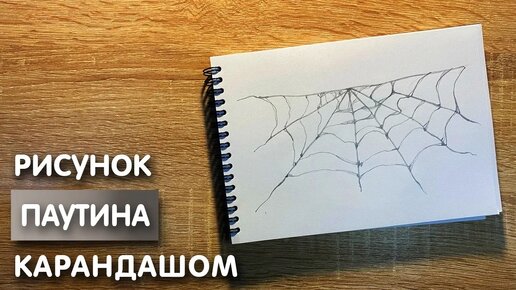 Как нарисовать паутину карандашом | Рисунок для начинающих поэтапно