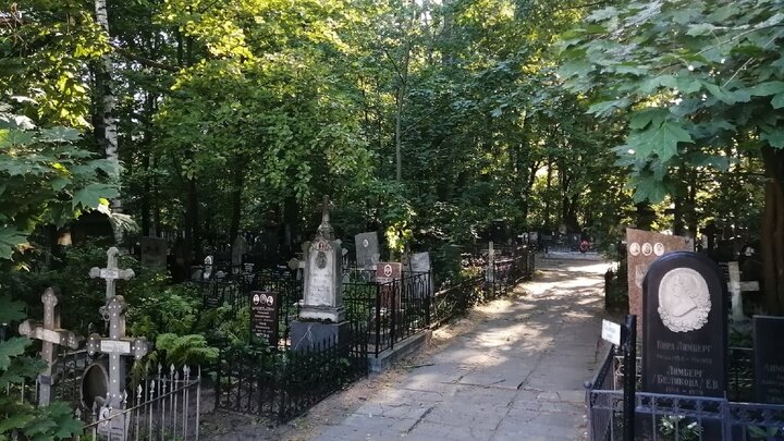 ФОТО: ЦАРЬГРАД. 