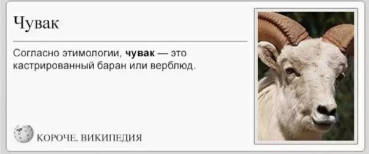 Значение слова чувак чувак. Подвинь или пододвинь. Чувак происхождение слова баран. Обозначение слова чувак. Что обозначает слово миновать.