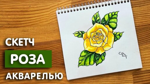 Как нарисовать розу акварелью | Рисунок для начинающих поэтапно