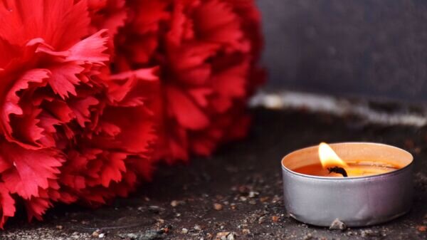    © Sputnik / Сергей Ким